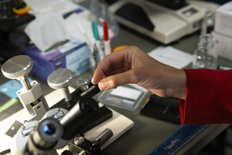 UCSF pediatric and fetal surgeon Tippi MacKenzie holds a glass micropipette that her lab uses to inject fetal mice 