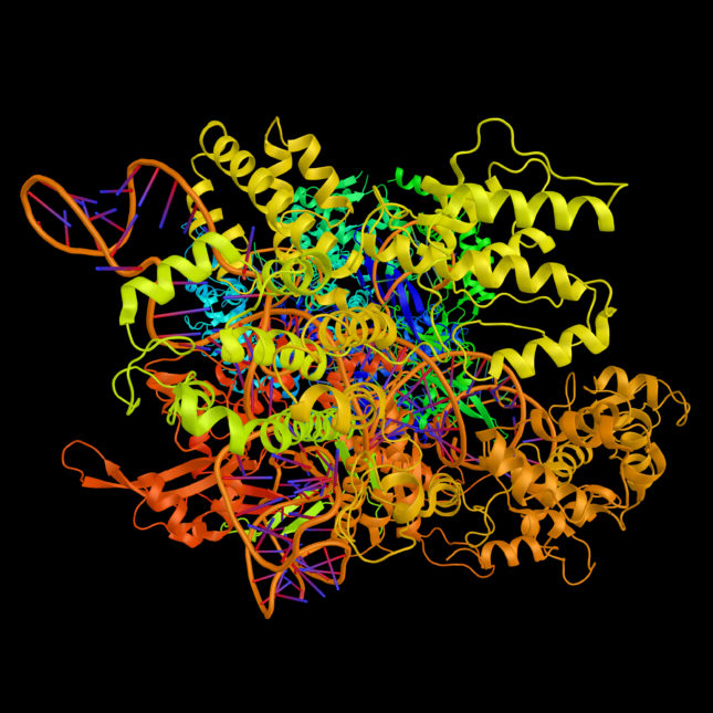 CRISPR-CAS9 illustration