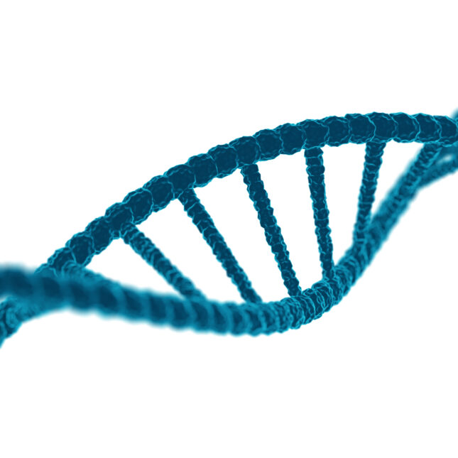 Illustration of a blue strand of DNA on a white background to illustrate story about gene editing