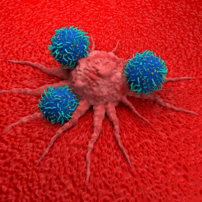 Car-T cells illo