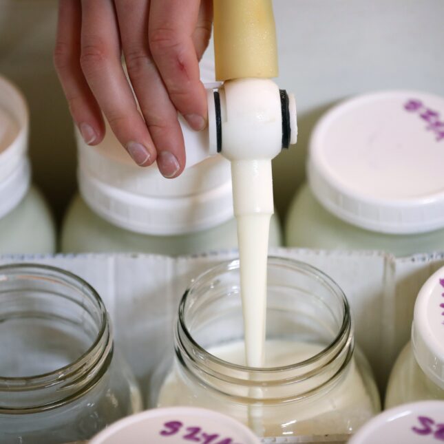 A hand fills a bottle, in line with three rows of bottles, with raw milks — health coverage from STAT