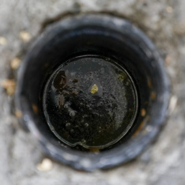 A sewage line opening contains water and waste — health coverage from STAT