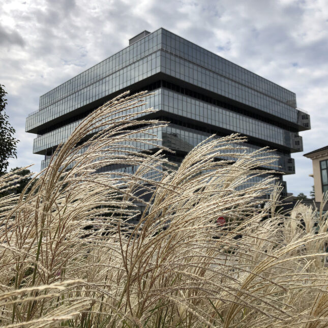 The headquarters of Purdue Pharma is shown on September 16, 2019 in Stamford, Connecticut. The pharmaceutical company, which makes OxyContin, the opioid often cited as starting the opioid crisis, has filed for Chapter 11 bankruptcy.