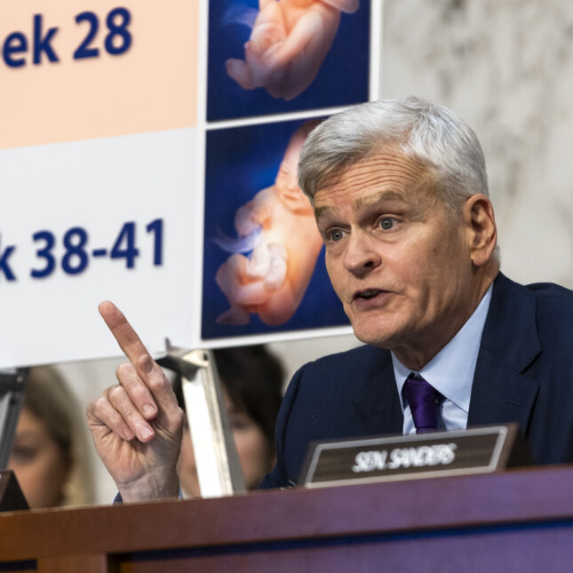 In front of a board illustrating week 28 and week 38-41 pregnancy, Sen. Bill Cassidy speaks and gestures during a hearing on "The Assault on Women's Freedoms: How Abortion Bans Have Created a Health Care Nightmare Across America"